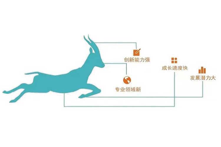 萊恩光電通過2022年度山東省瞪羚企業(yè)評(píng)審 萊恩光電通過2022年度山東省瞪羚企業(yè)評(píng)審